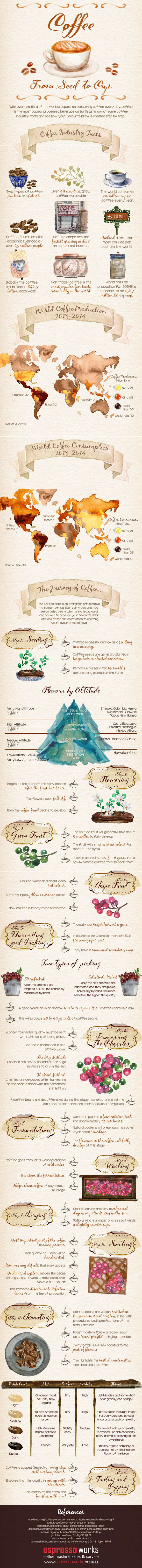 coffee infographic